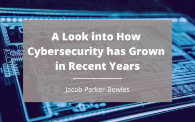A Look into How Cybersecurity Has Grown in Recent Years